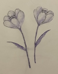 purple flowers drawn with colored pencil