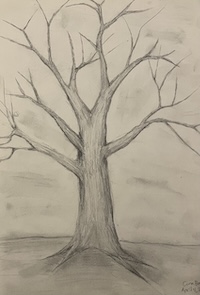 drawing of a tree without leaves